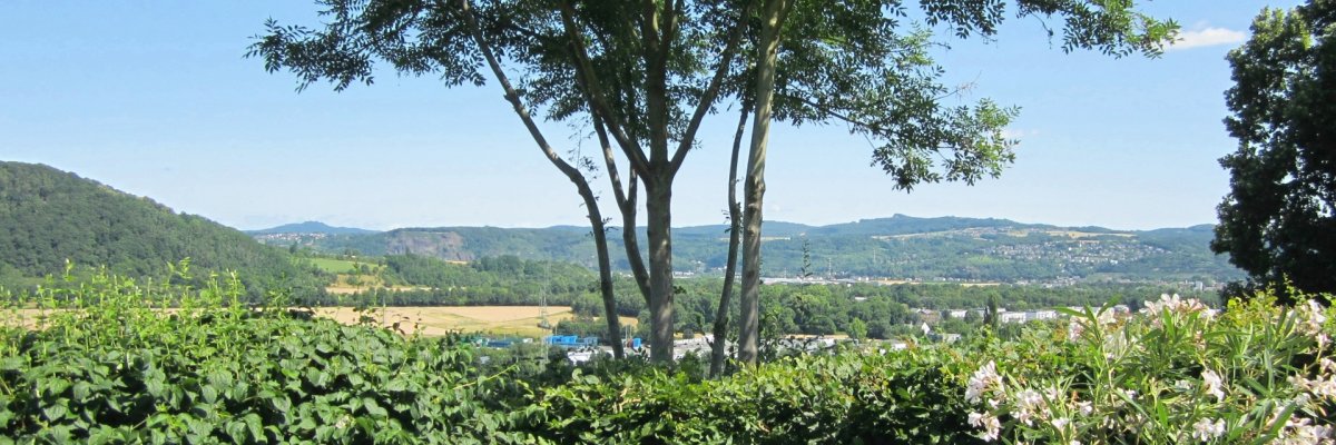 Titelbild Ferienwohnung Mühlenberg-Ahrtal DIeses Foto zeigt die Aussicht von der Terrasse der Ferienwohnung Mühlenberg-Ahrtal