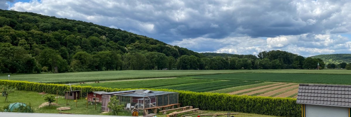 Ausicht Ferienwohnung Wilhelmshof Dieses Foto zeigt die Aussicht von der Ferienwohnung Wilhelmshof