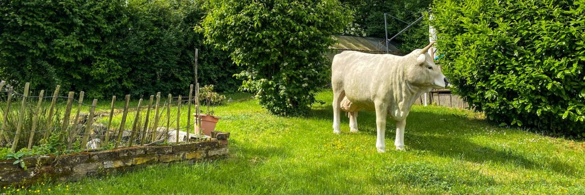 Dieses Foto zeigt den Garten des Gästehauses Tappes Hofgarten