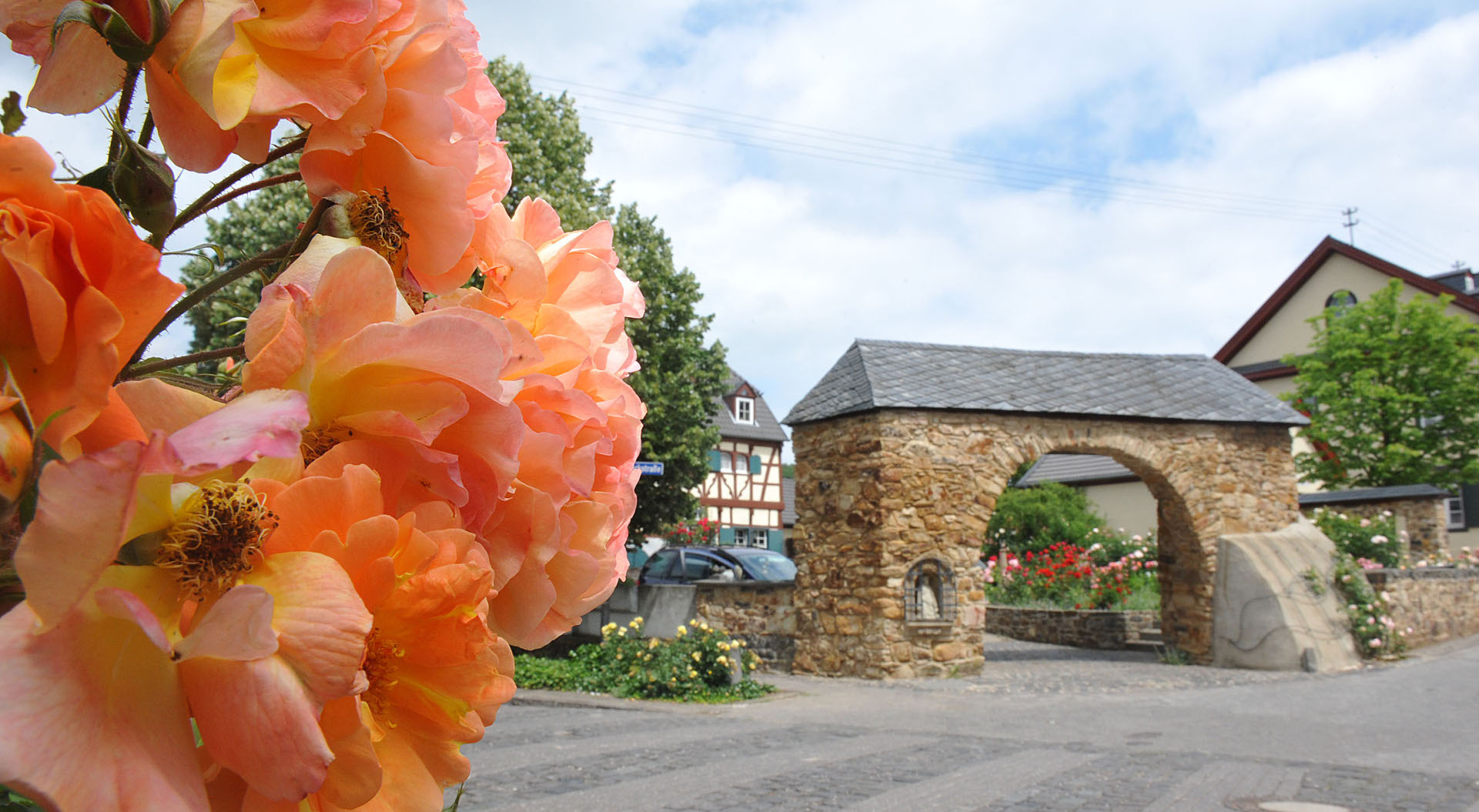 Blühende Rosen in Löhndorf Dieses Foto zeigt Löhndorf mit seinen blühenden Rosen