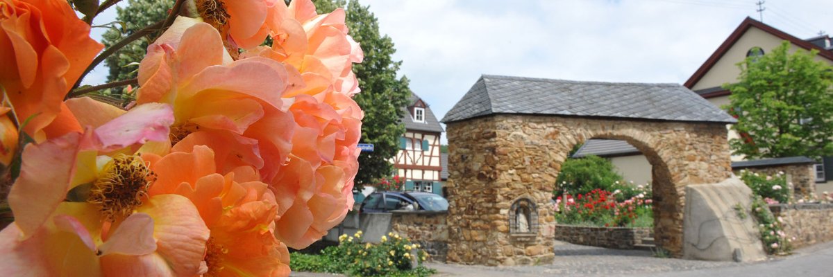 Dieses Foto zeigt Löhndorf  mit seinen blühenden Rosen