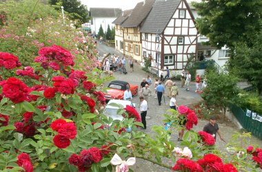 Dieses Foto zeigt eine Straße in Löhndorf