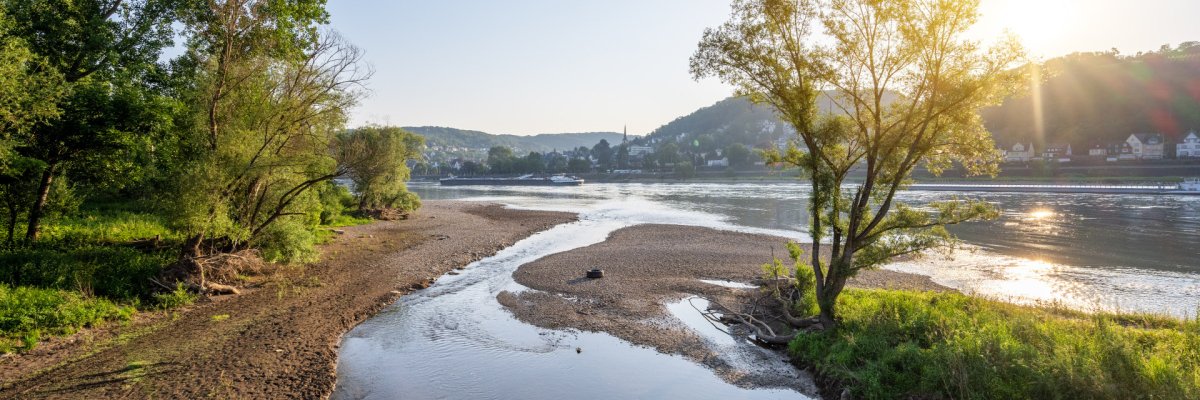 Die Ahrmündung Dieses Foto zeigt die Ahrmündung im Sommer