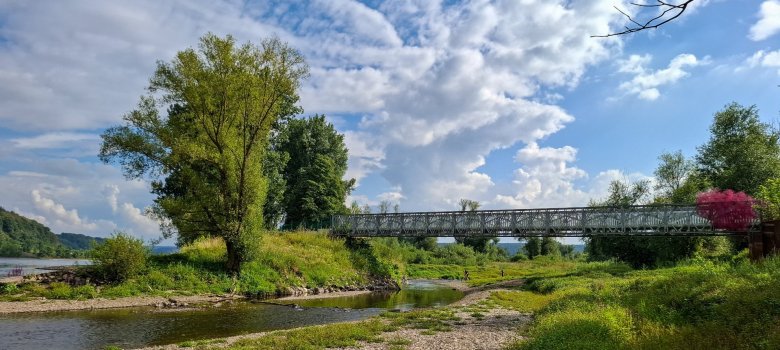 Dieses Foto zeigt die Brücke an der Ahrmündung, von unten fotografiert