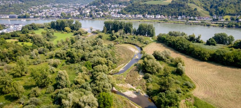 Die Ahrmündung in den Rhein Dieses Bild zeigt die Ahrmündung in den Rhein