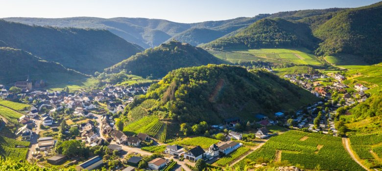 Dieses Foto zeigt die Aussicht auf Mayschoß am Rotweinwanderweg