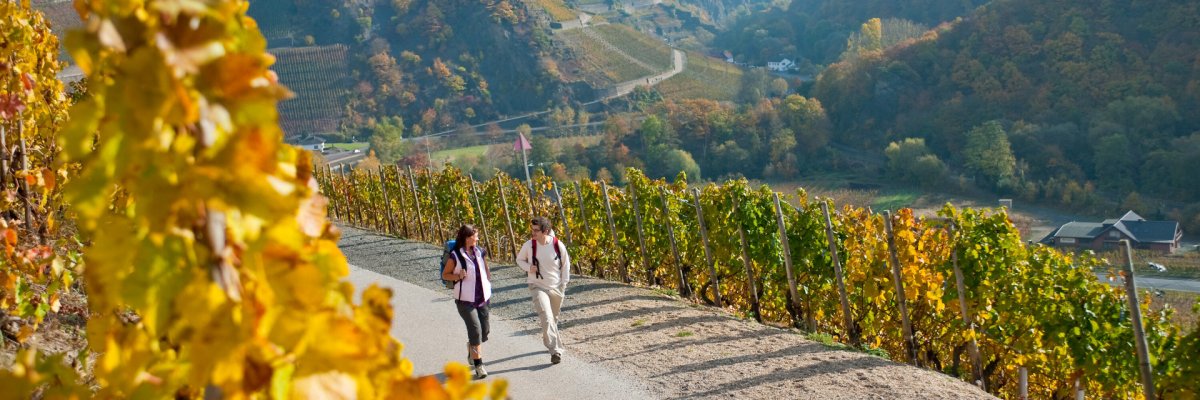 Rotweinwanderweg im Herbst Dieses Foto zeigt Wanderer auf dem Rotweinwanderweg im Herbst
