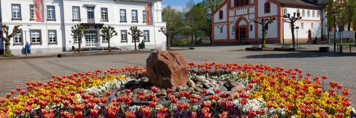 Blumenbeet am Kirchplatz Dieses Foto zeigt ein Blumenbeet am Kirchplatz mit Rathaus und Kirche im Hintergrund
