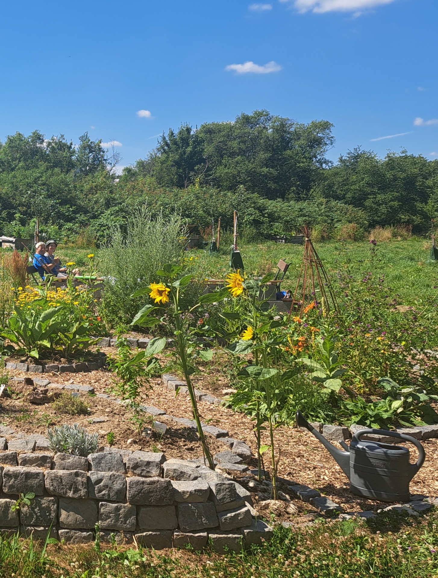 Gemeinschaftsgarten