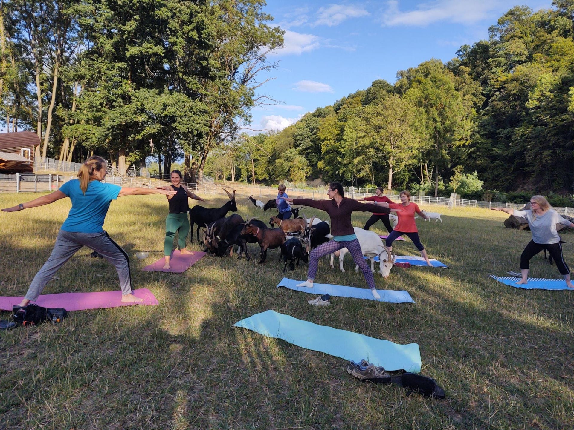 Yoga am Schwanenteich Schwanenteich Yoga-Retreat