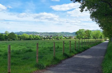 Dieses Foto zeigt einen Teil des Ahr-Radwegs