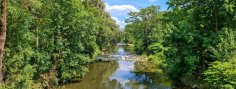 Dieses Foto zeigt die Ahr bei Bad Bodendorf, wo auch der Ahr-Radweg entlangfließt