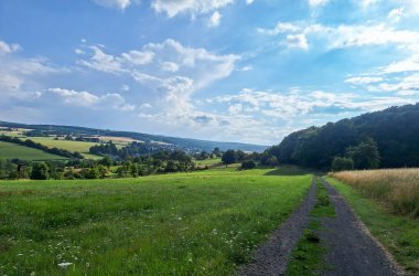 Dieses Foto zeigt den AhrSteig bei Löhndorf