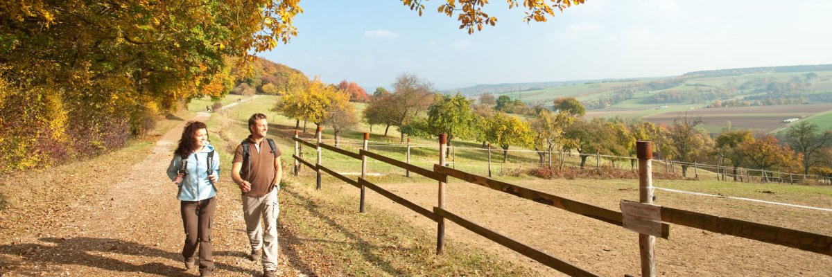 Wanderer auf dem AhrSteig Dieses Foto zeigt 2 Wanderer auf dem AhrSteig