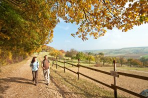 Wanderer auf dem AhrSteig Dieses Foto zeigt 2 Wanderer auf dem AhrSteig