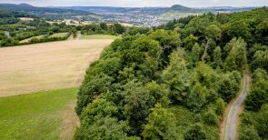 Die Landschaft entlang des Wanderweges Dieses Bild zeigt die Landschaft entlang des Wanderweges