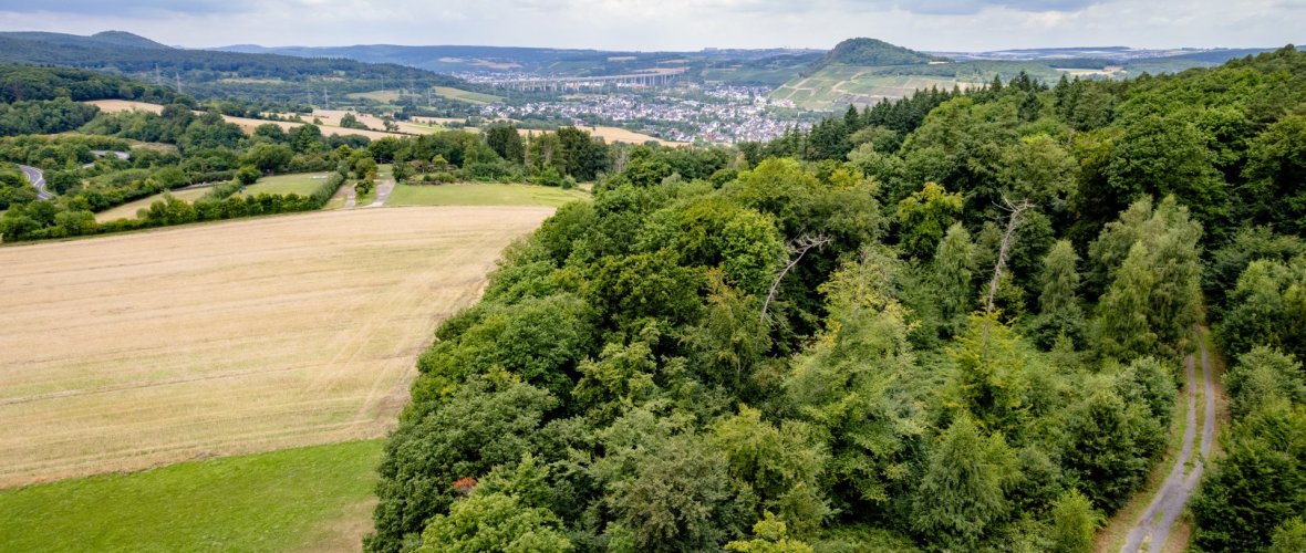 Dieses Bild zeigt die Landschaft entlang des Wanderweges