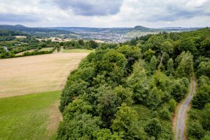 Dieses Bild zeigt die Landschaft entlang des Wanderweges