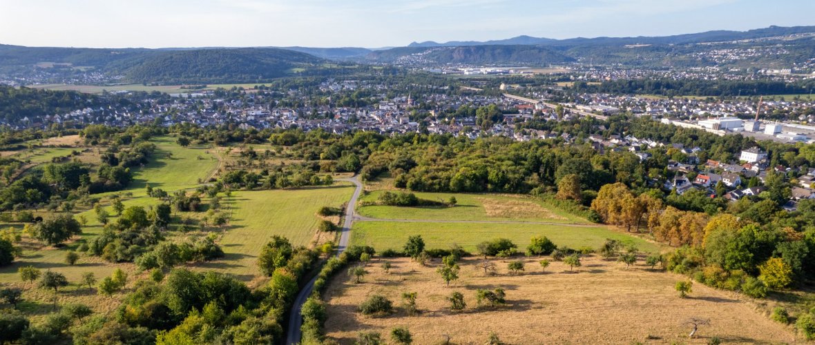 Dieses Foto zeigt den RheinBurgenWeg am Ziemert in Sinzig