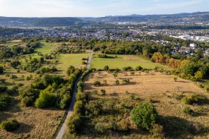 Dieses Foto zeigt den RheinBurgenWeg am Ziemert in Sinzig