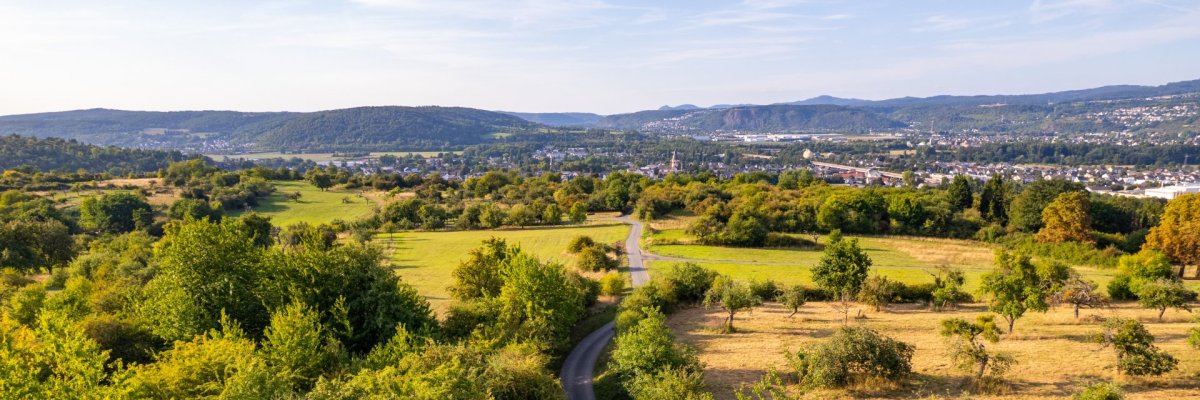 Der RheinBurgenWeg am Ziemert oberhalb von Sinzig Dieses Bild zeigt den RheinBurgenWeg am Ziemert in Sinzig