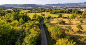 Der RheinBurgenWeg am Ziemert oberhalb von Sinzig Dieses Bild zeigt den RheinBurgenWeg am Ziemert in Sinzig
