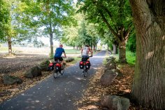 Dieses Bild zeigt Radfahrer auf dem Rheinradweg