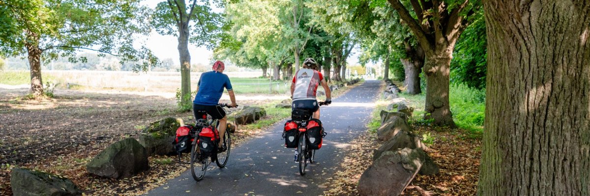 Radfahrer auf dem Rheinradweg Dieses Bild zeigt Radfahrer auf dem Rheinradweg