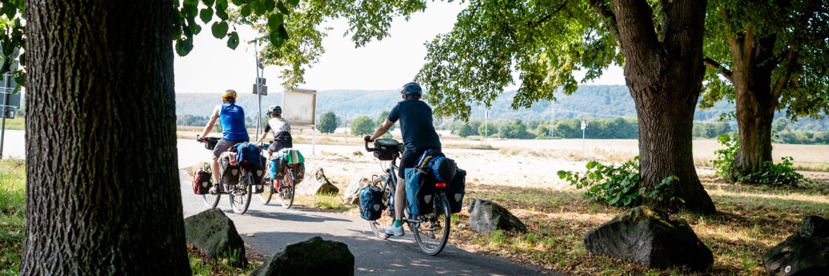 Dieses Bild zeigt Radfahrer auf dem Rheinradweg