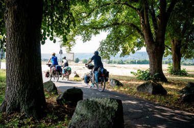 Dieses Bild zeigt Radfahrer auf dem Rheinradweg