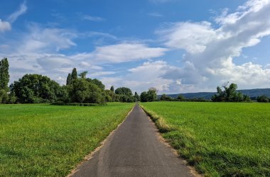Dieses Foto zeigt den Rheinradweg entlang der Goldenen Meile in Sinzig