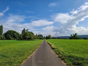 Dieses Foto zeigt den Rheinradweg entlang der Goldenen Meile in Sinzig