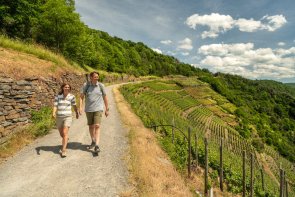 Dieses Foto zeigt den Rotweinwanderweg am Altenahrer Eck